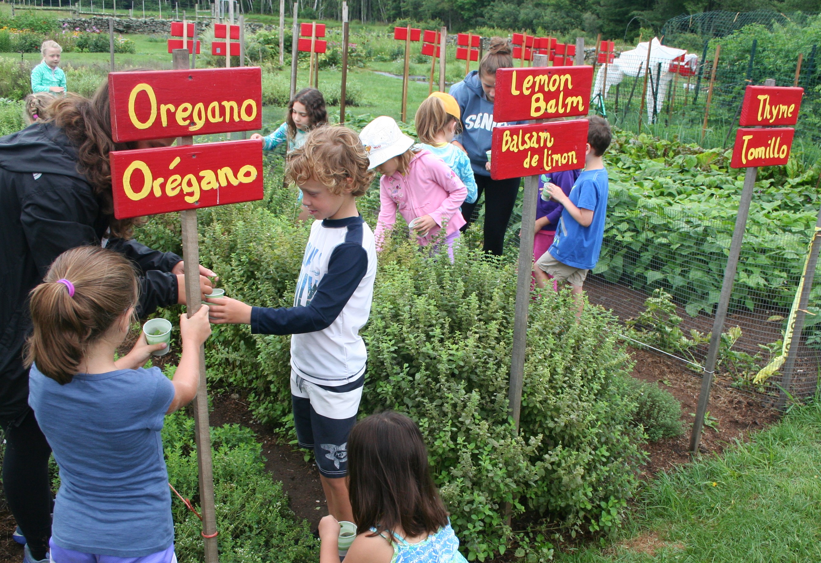 Photo of children working on projects in the garden.